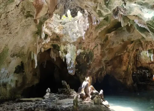 Package 1 (Private Tour )