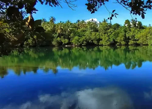 Package 4 (Private Tour )