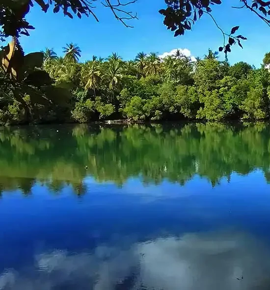 Package 4 (Private Tour )